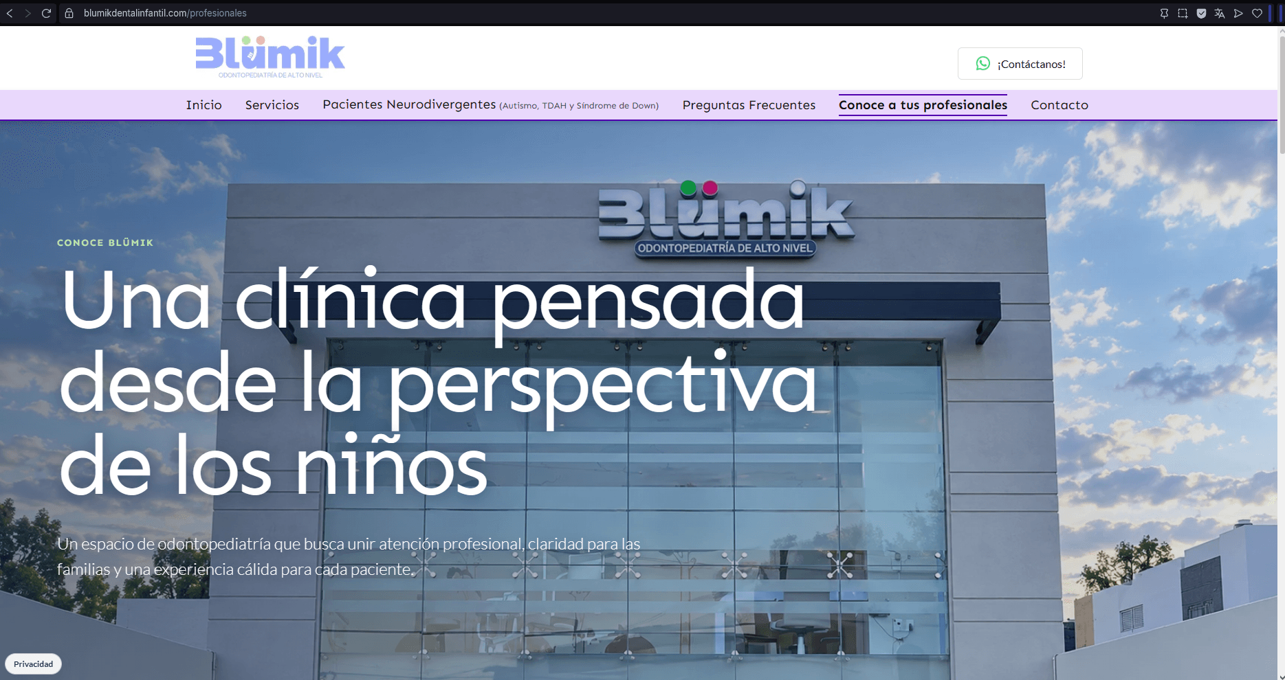 Página web de Blümik desarrollada por ADVanta
